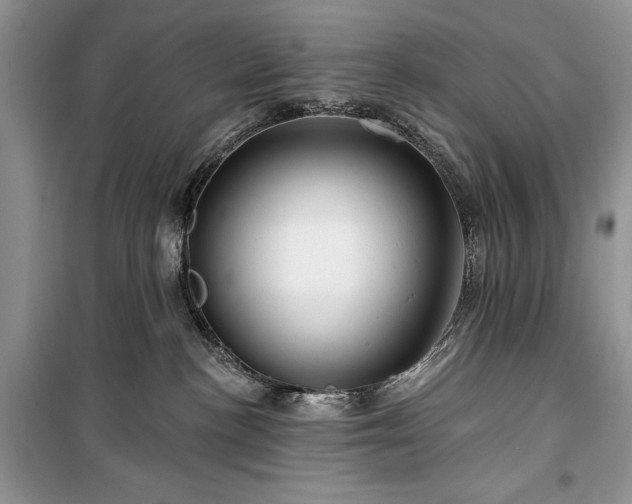 X0000100370188200806131046