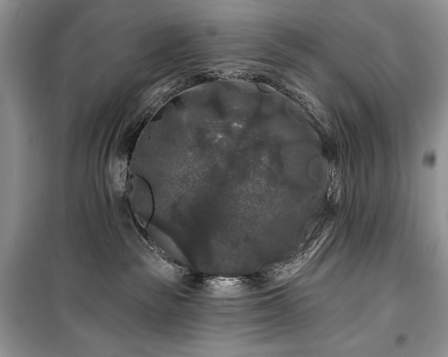 X0000100370189200806131046