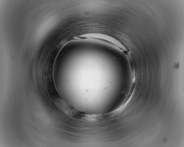 X0000100370190200806131046