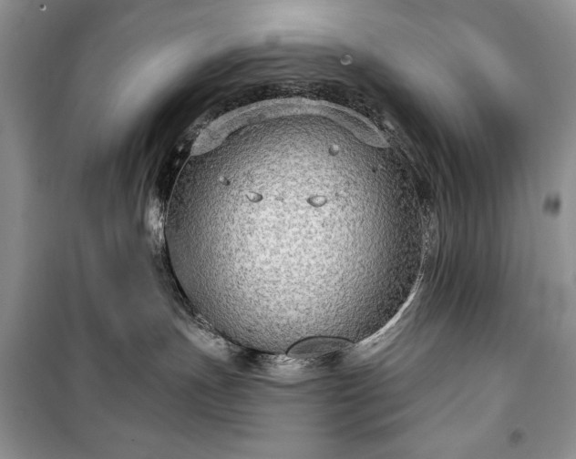 X0000100370191200806131046