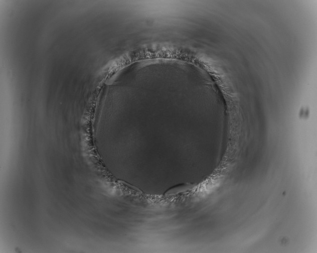 X0000100370192200806131046