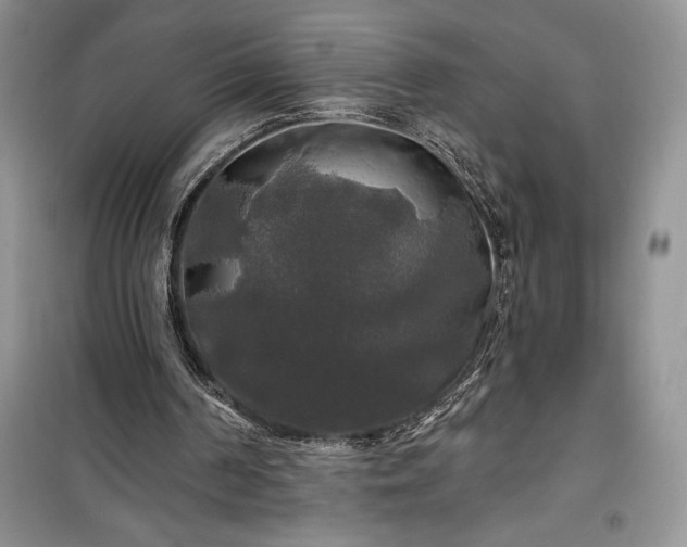 X0000100370194200806131045