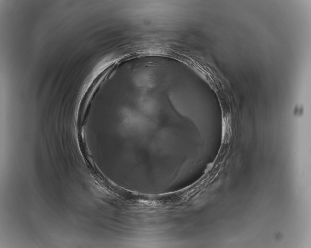 X0000100370195200806131045