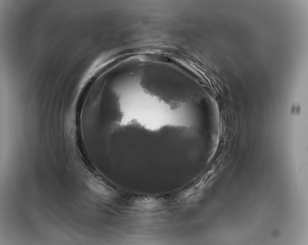 X0000100370198200806131045