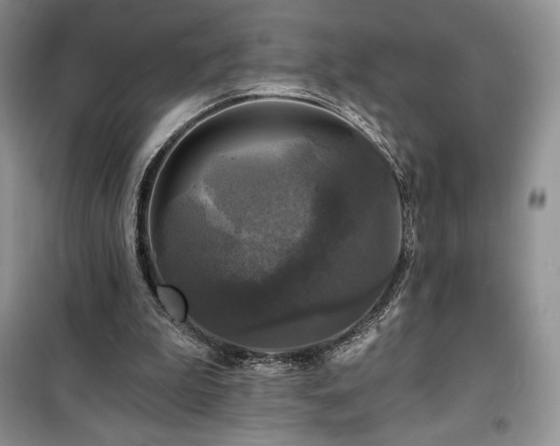 X0000100370199200806131045