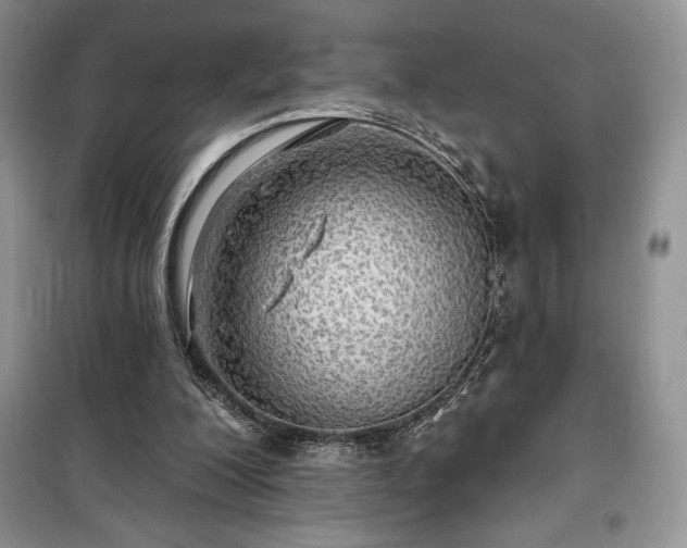 X0000100370200200806131045