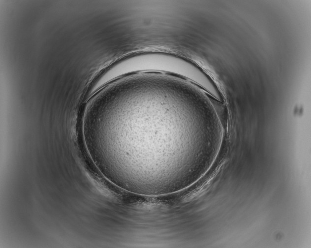 X0000100370201200806131045