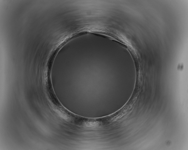 X0000100370202200806131045