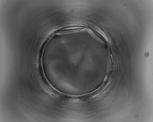 X0000100370203200806131045