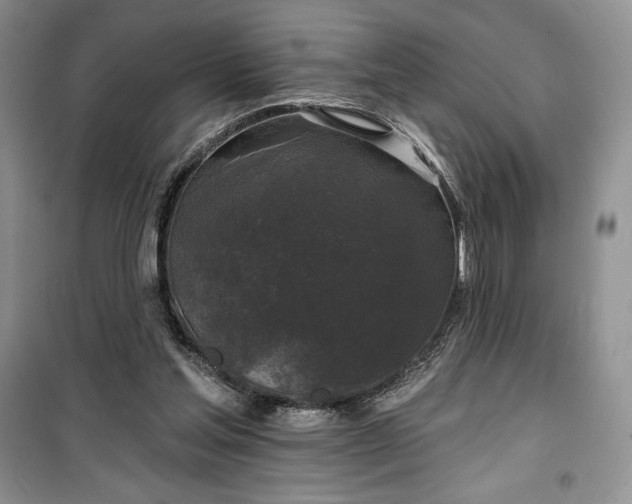 X0000100370205200806131045