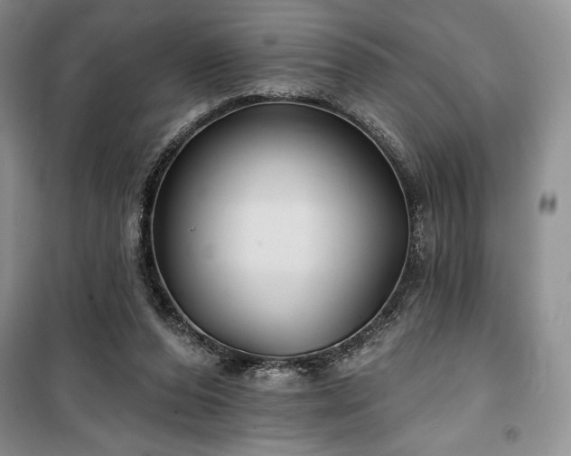 X0000100370208200806131045