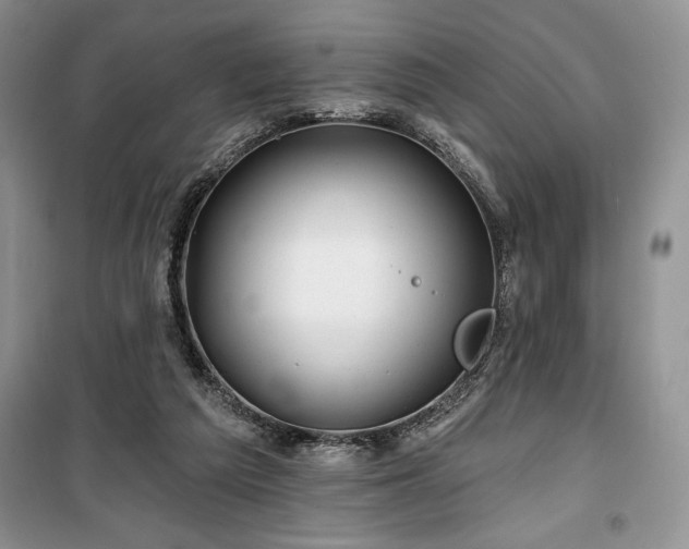 X0000100370209200806131045