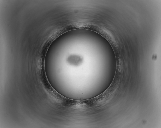 X0000100370210200806131045