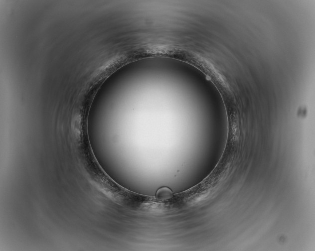 X0000100370211200806131045