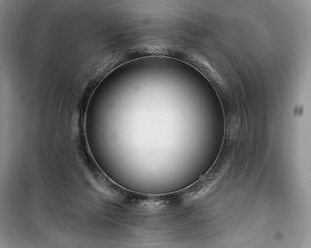 X0000100370213200806131045