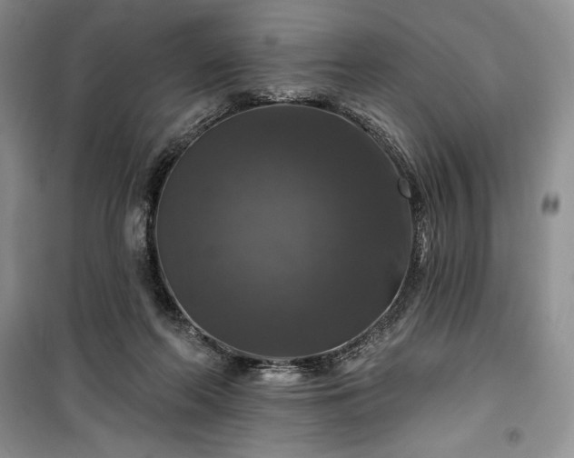 X0000100370214200806131045