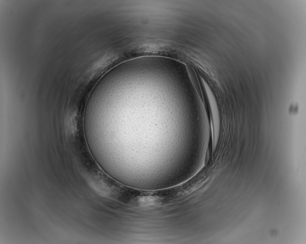 X0000100370216200806131045