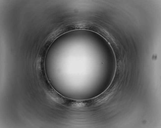 X0000100370217200806131045