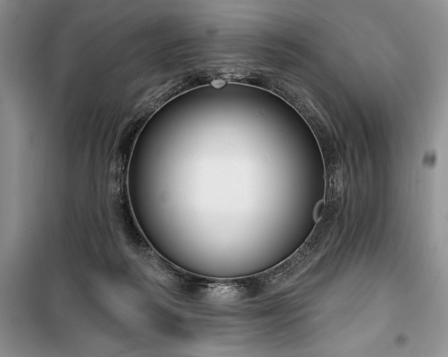 X0000100370218200806131045