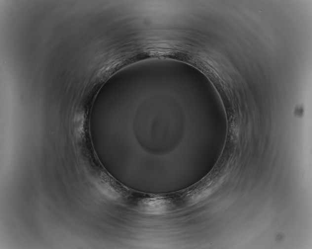 X0000100370219200806131045