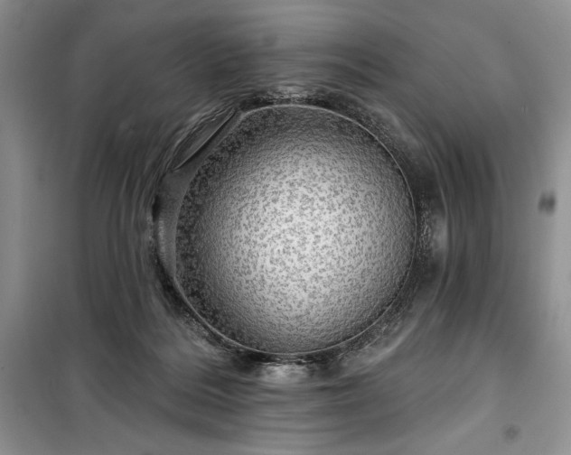 X0000100370220200806131045