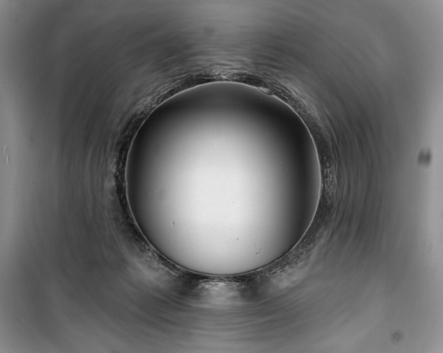 X0000100370221200806131045