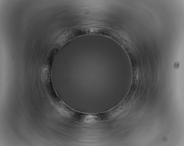 X0000100370222200806131045