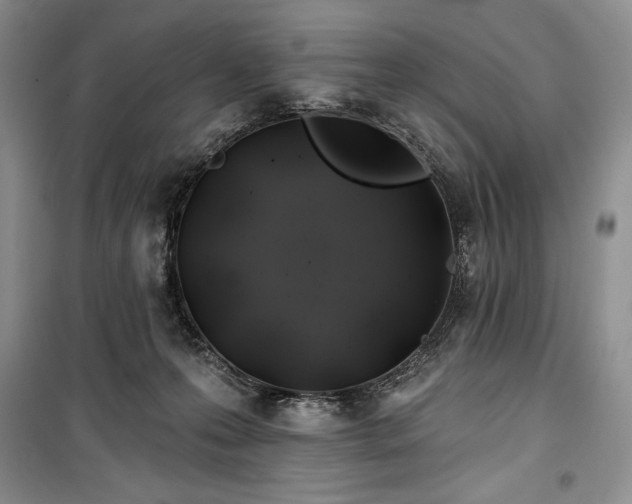 X0000100370223200806131045