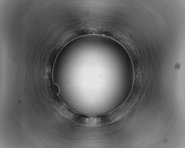 X0000100370225200806131045