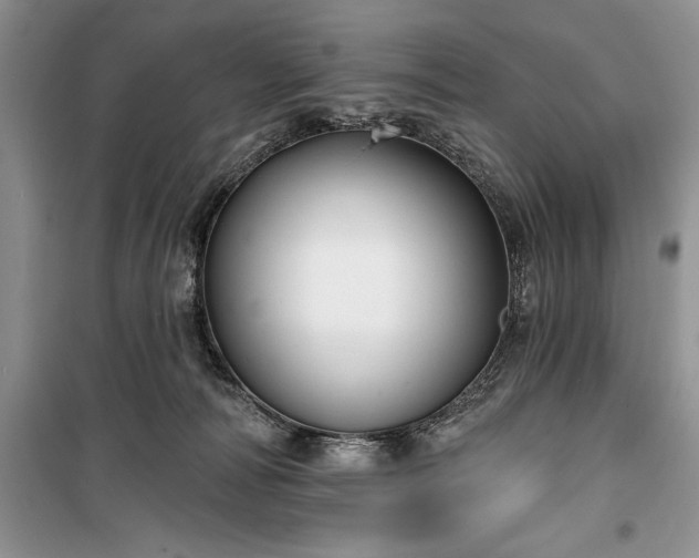 X0000100370226200806131045