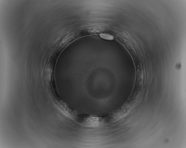 X0000100370227200806131045