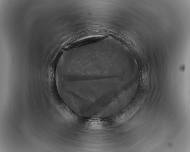 X0000100370228200806131045