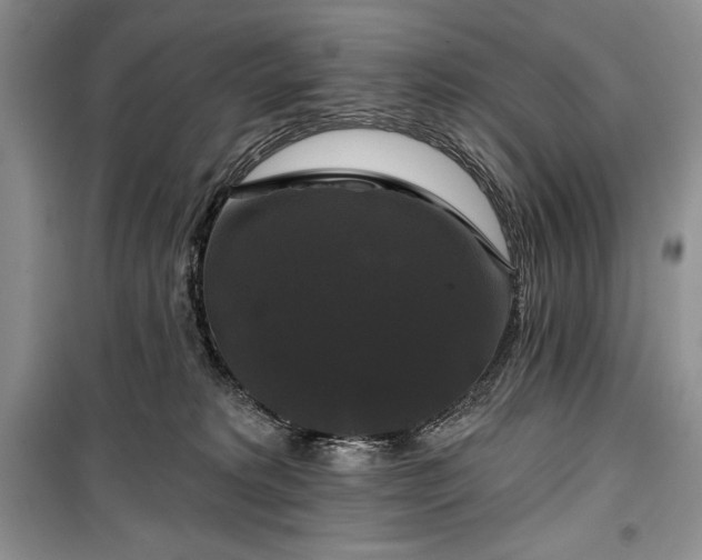 X0000100370229200806131045