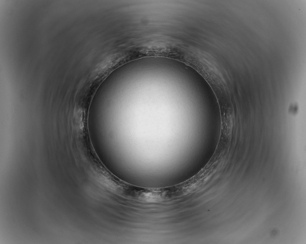 X0000100370232200806131044