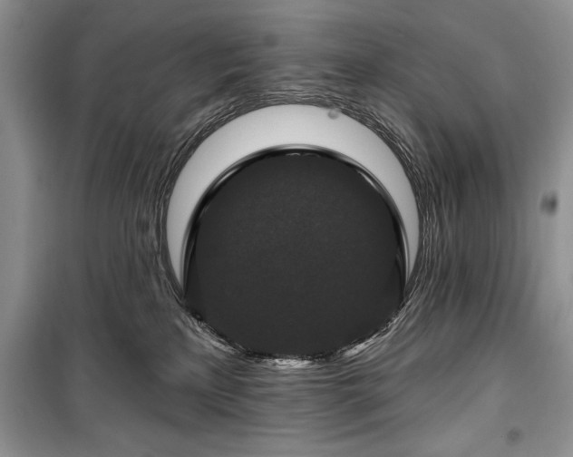 X0000100370233200806131044