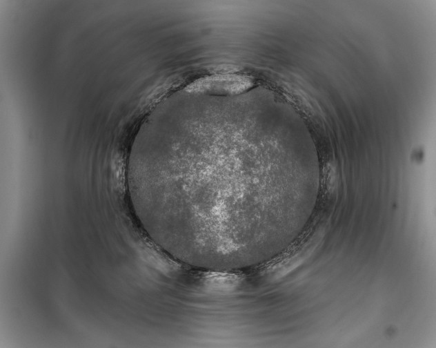 X0000100370234200806131044