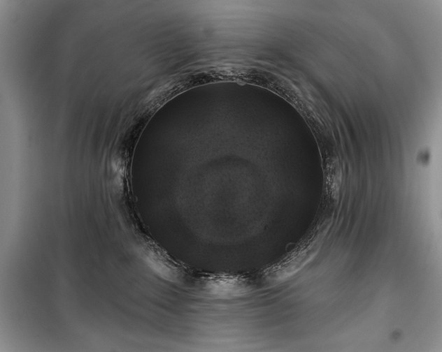 X0000100370235200806131044