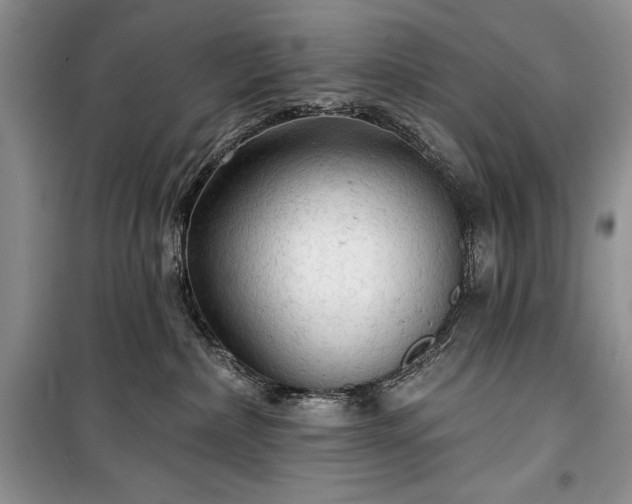 X0000100370236200806131044