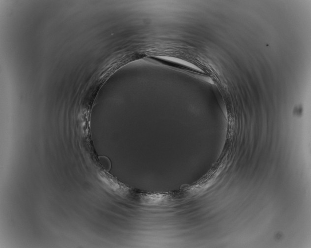 X0000100370237200806131044