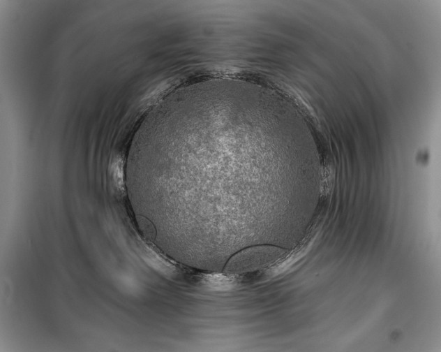 X0000100370238200806131044