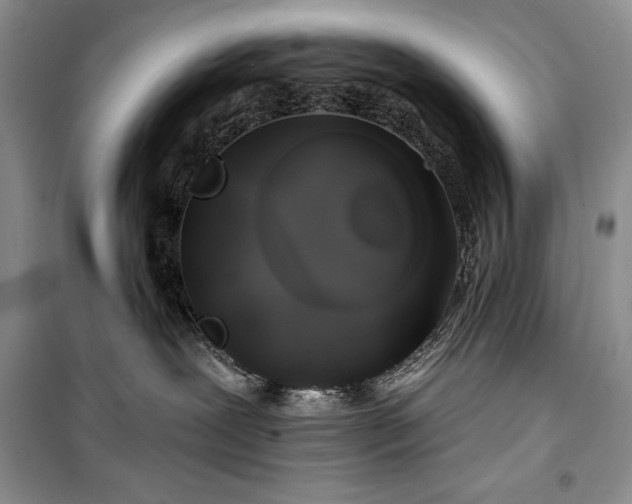 X0000100370239200806131044