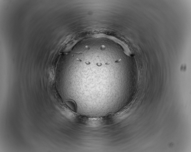 X0000100370240200806131044