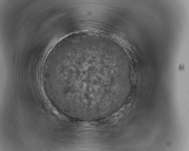 X0000100370241200806131044