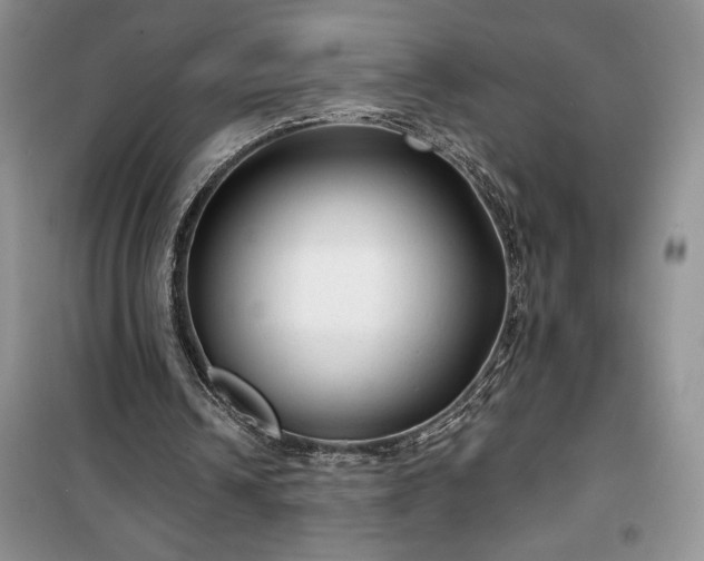 X0000100370242200806131044