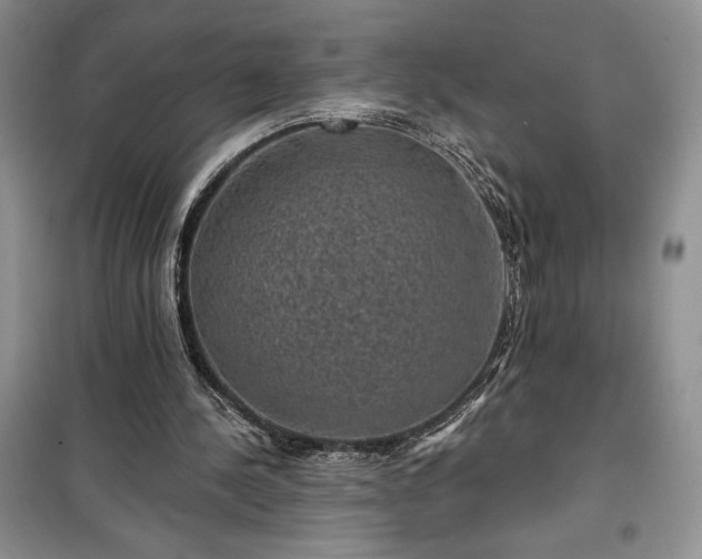 X0000100370244200806131044