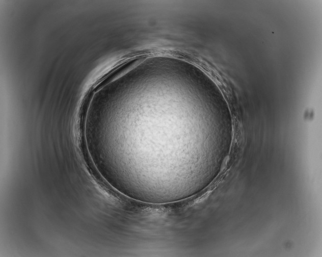 X0000100370245200806131044