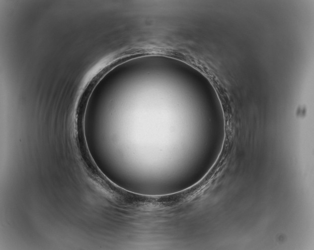 X0000100370246200806131044