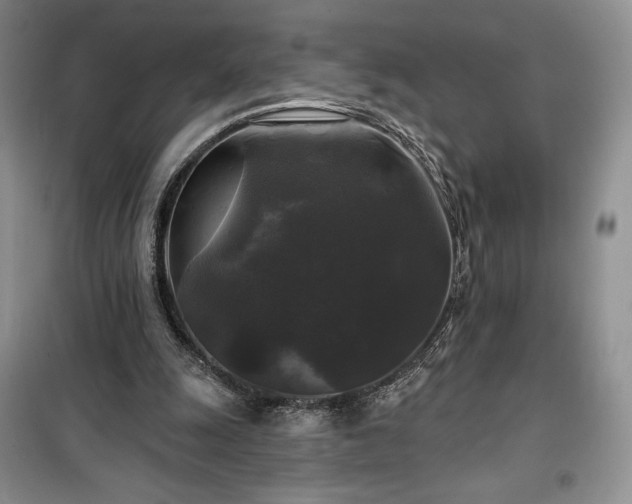 X0000100370247200806131044