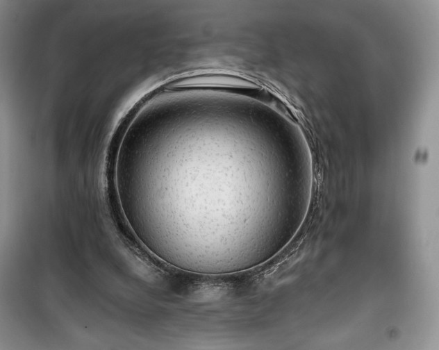 X0000100370248200806131044