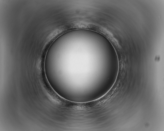 X0000100370250200806131044